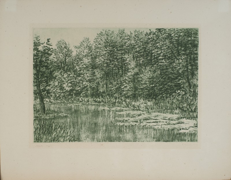 Лісове озеро