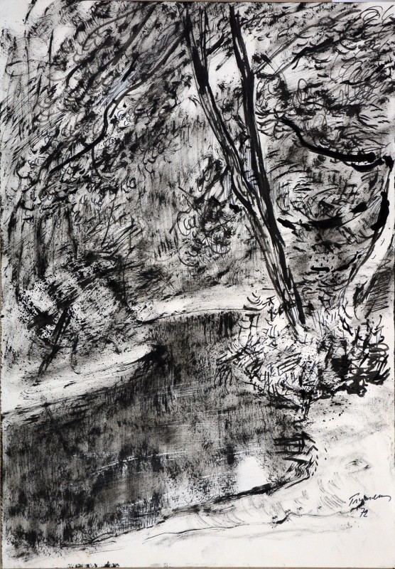 Озерце в Паланзі