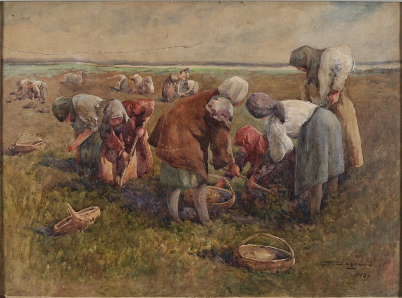 Збирання картоплі