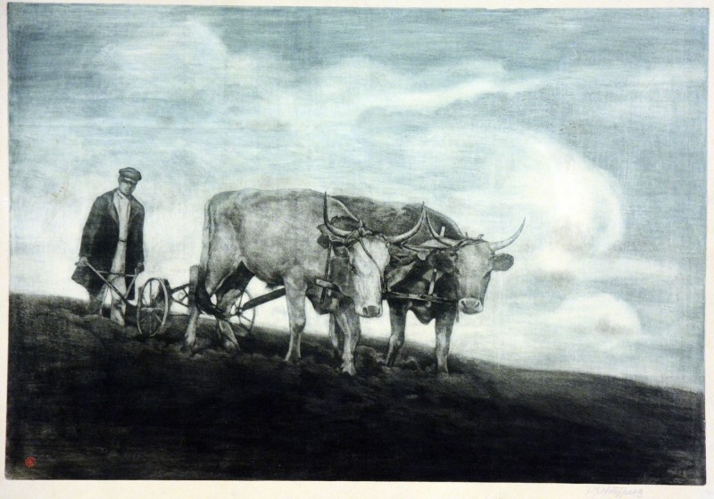 Орач. Поділля