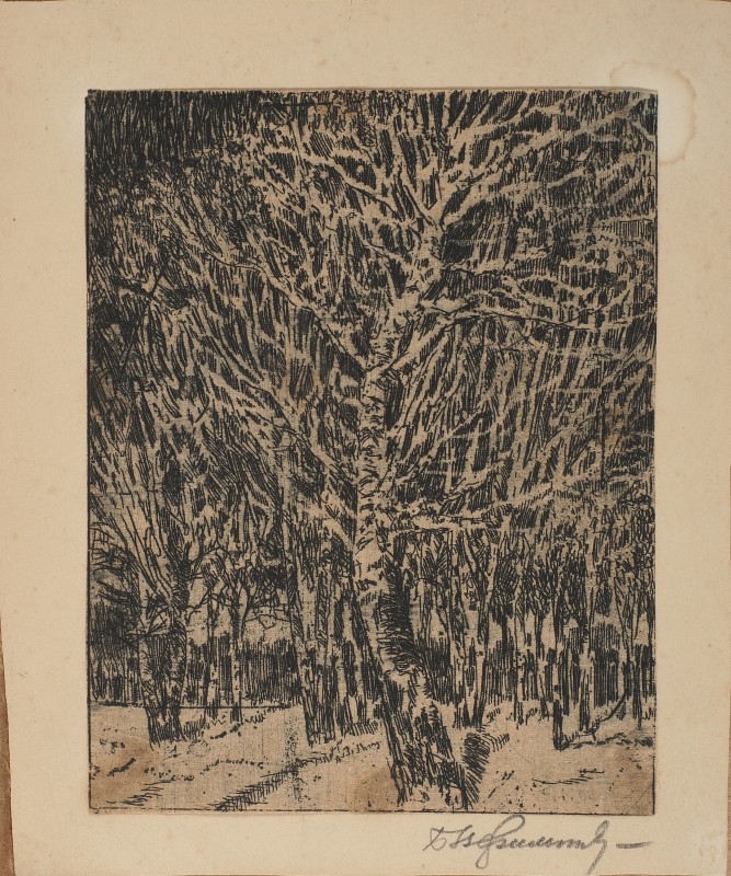 Пейзаж. Іній