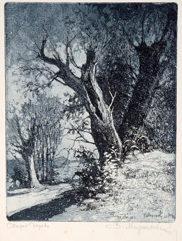 Старе дерево