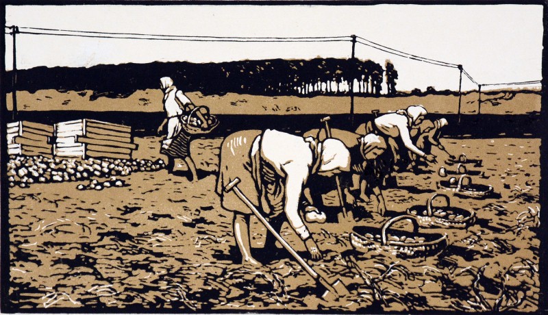 На Ірпінській заплаві