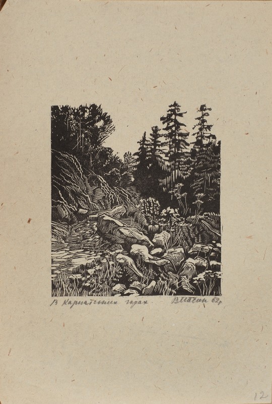 В карпатських горах