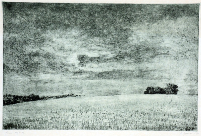 Поле весняне