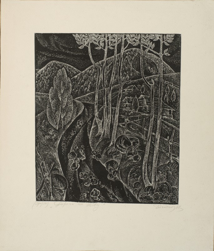 Дорога на Щівку