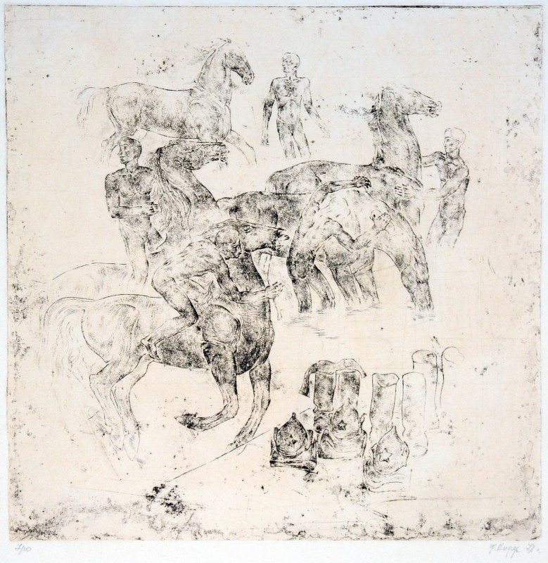 Купання коней