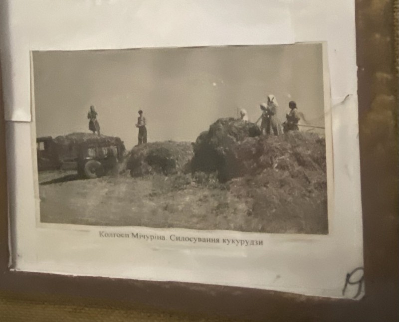 Фотографія силосування кукурудзи