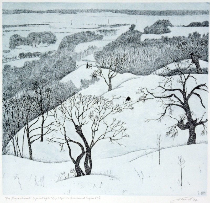 Седневські простори. З серії «Зимовий Седнів»