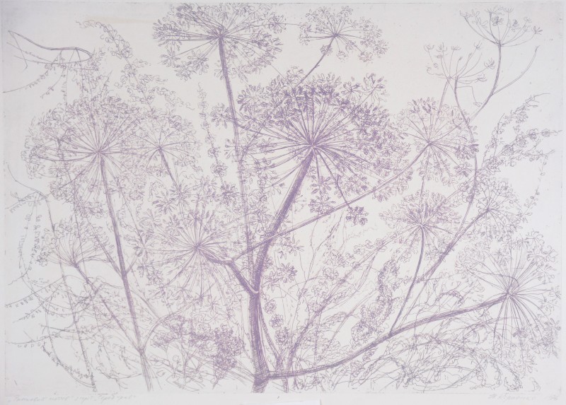 Ранковий мотив