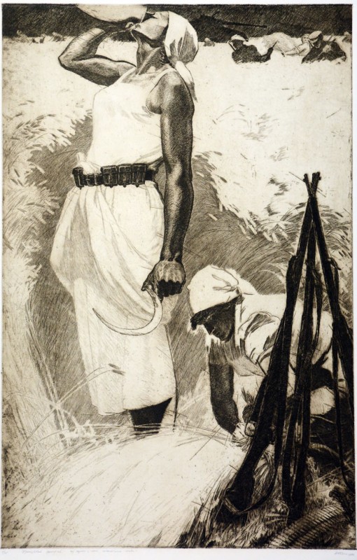 Фронтовий врожай