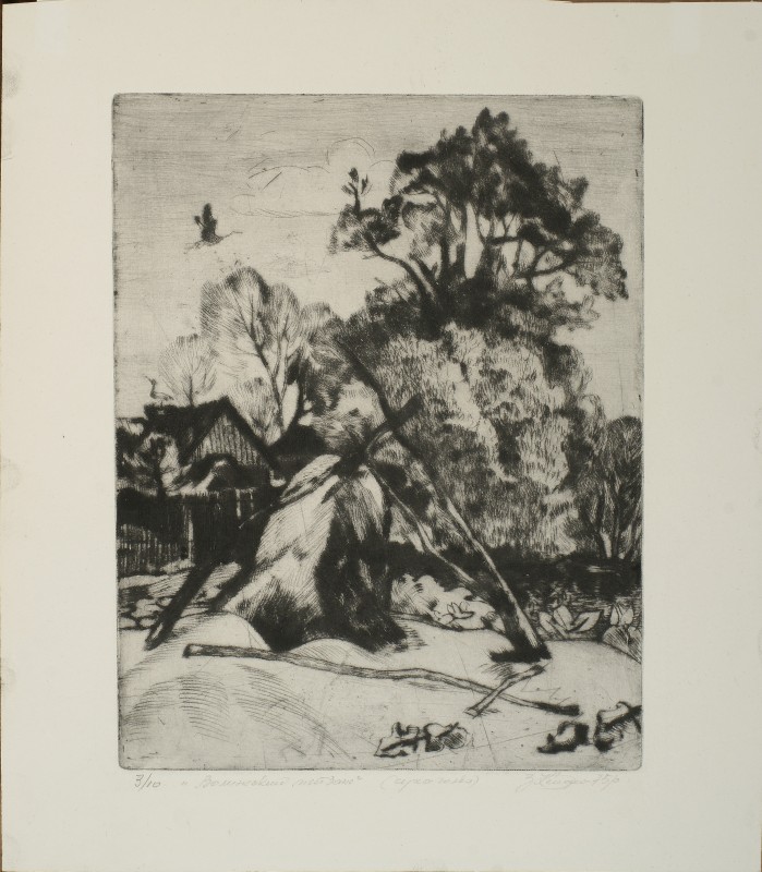 Волинський сільский мотив