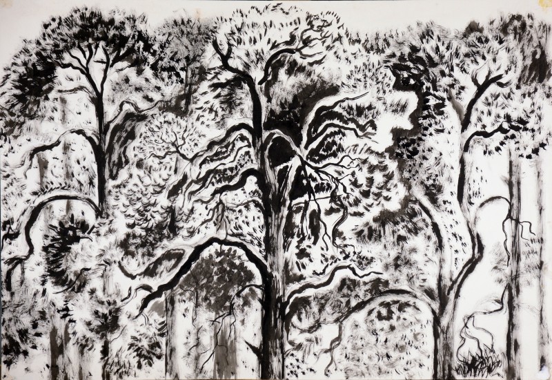 Перший сніг