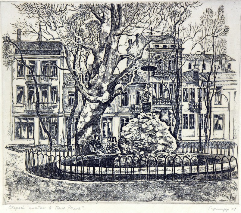 Старий платан в Пале Роялі