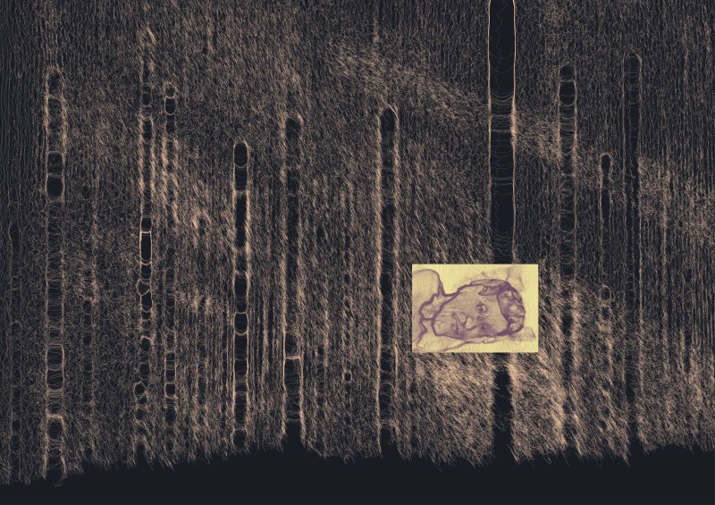 Сон або ліс