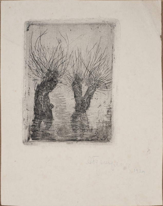 Старі верби