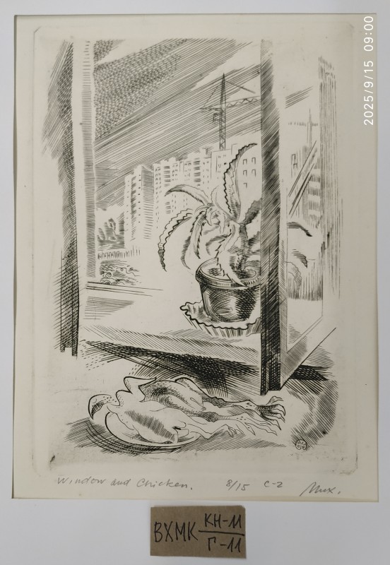Window and chicken