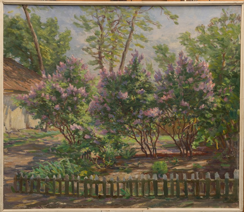 Подвір'я. Кущі бузку