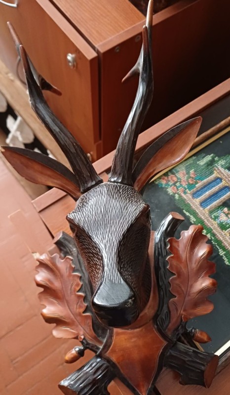 Голова кози лісової