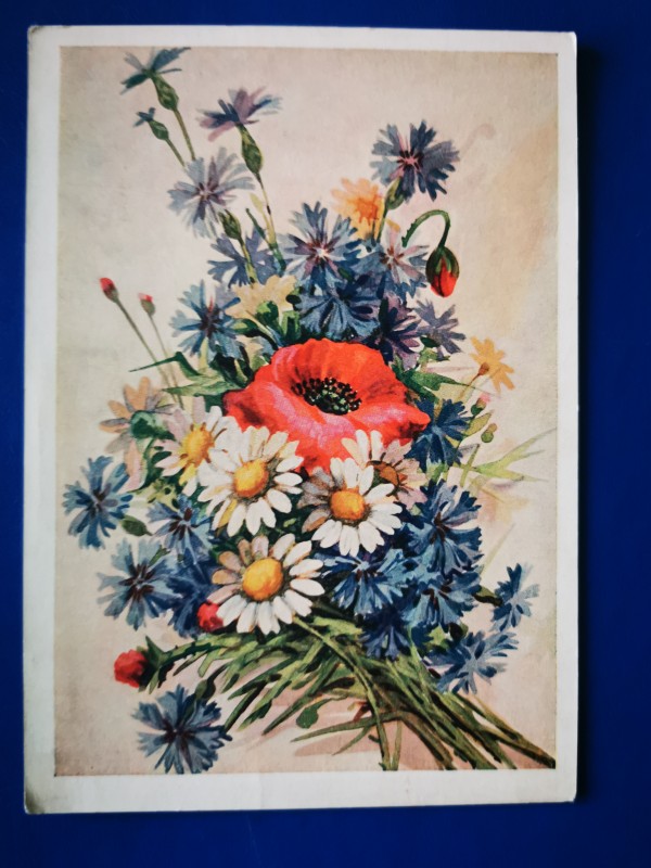 Листівка поштова "Ромашки, маки и васильки". Видавництво "Московская печатная фабрика Гознака",  Москва, 1955 рік.