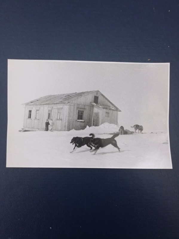 Фото чорно-біле