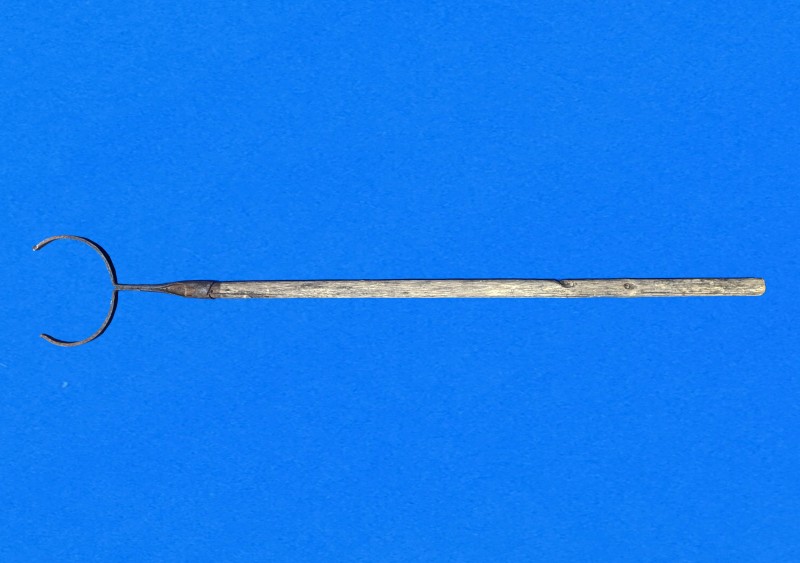 Рогач господарський