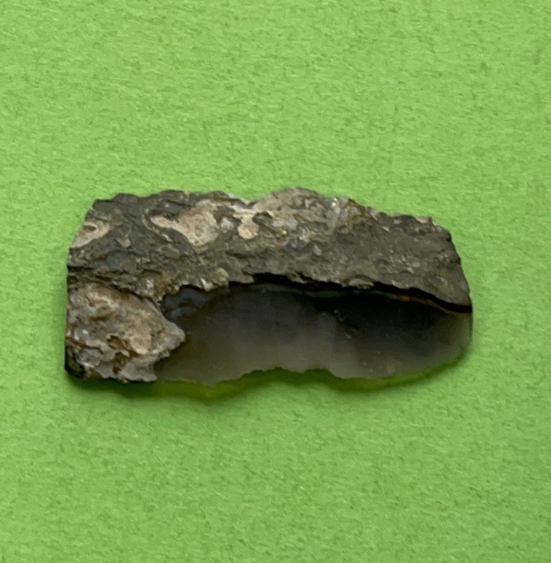 Пластина ножевидна