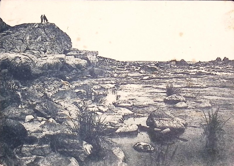 Листівка поштова "Дніпрельстан. Ненаситець улітку"