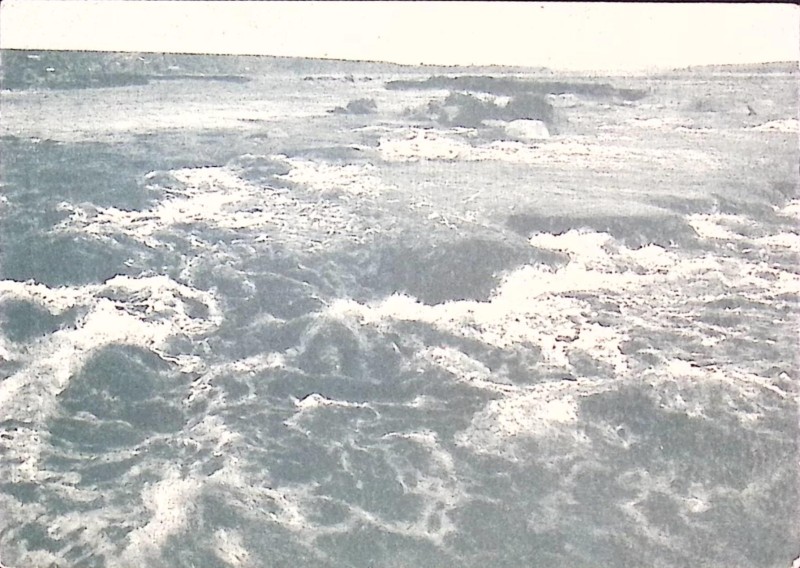 Листівка поштова "Поріг Дзвонецький"