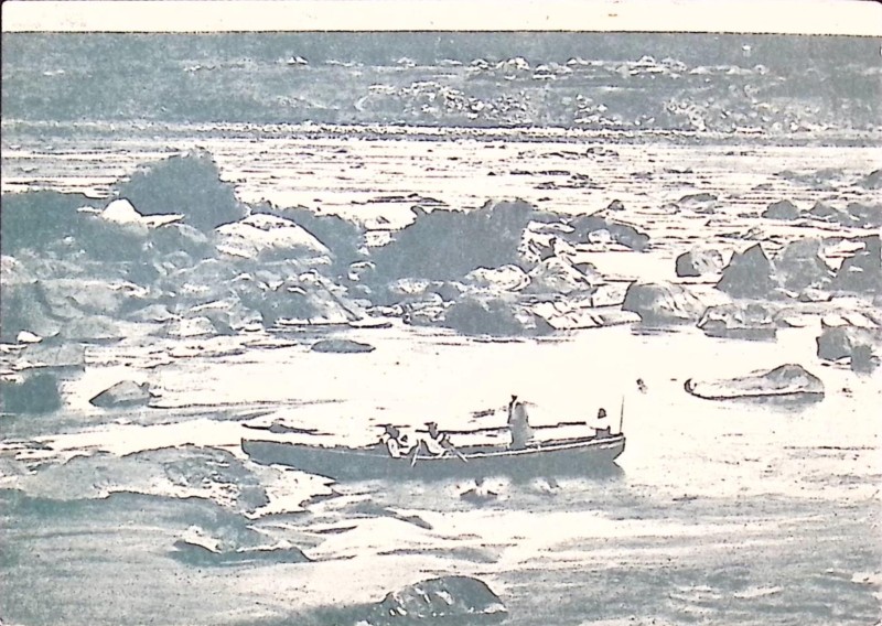 Листівка поштова "Ненаситець влітку після спаду води"