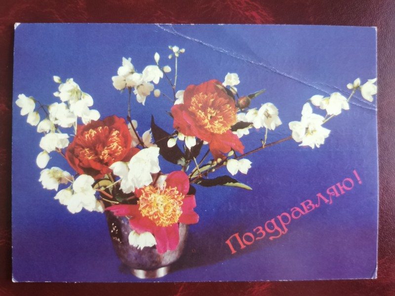 Листівка поштова вітальна "Поздравляю!" Видавництво МПФГ, Москва, 1990 рік