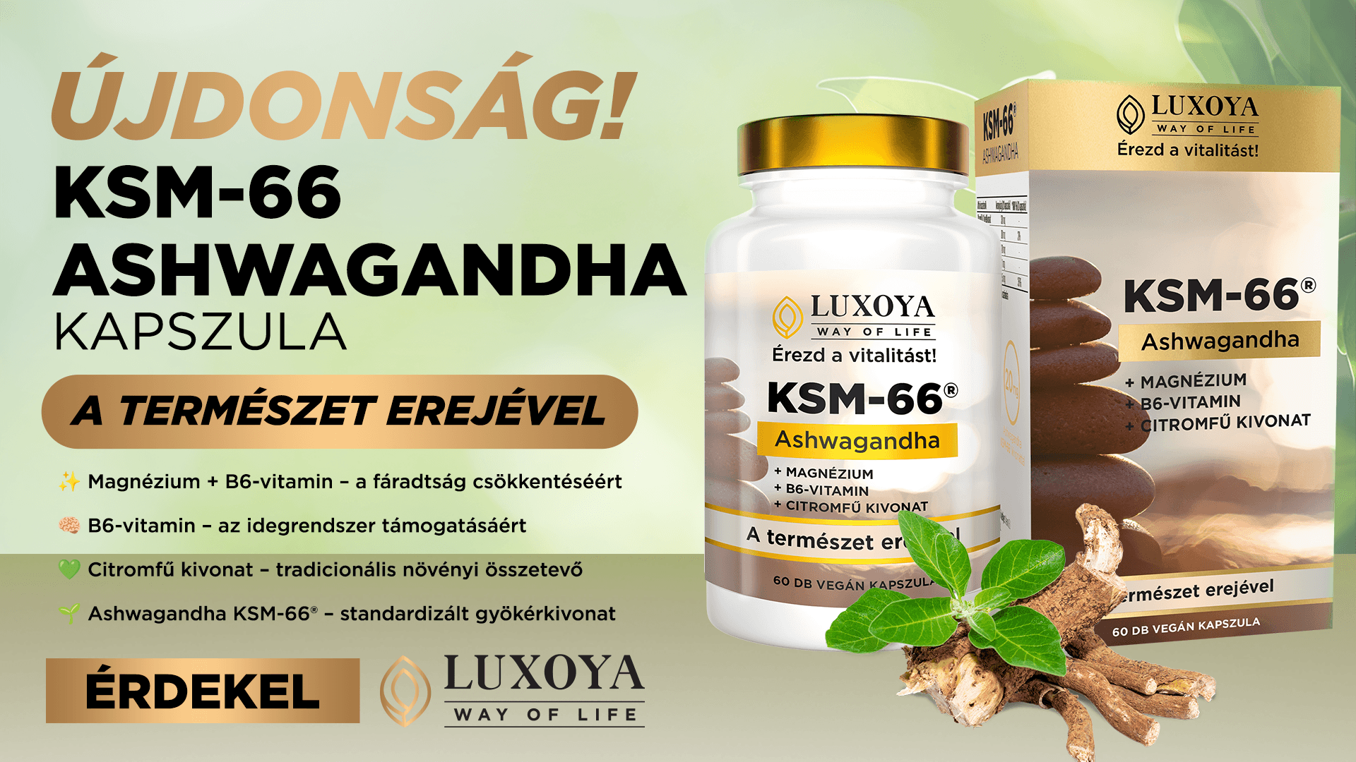 Ashwagandha_hirdetes_1920x1080.png