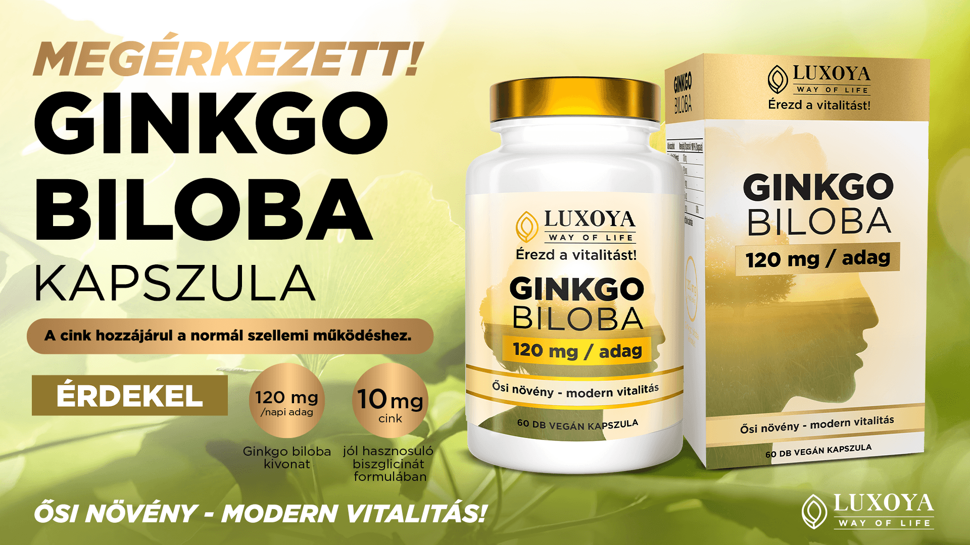 Ginkgo_megjelent_hirdetes_1920x1080.png