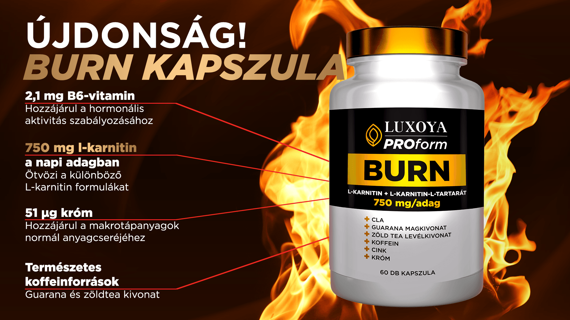 burn_kapszula_1920x1080.png