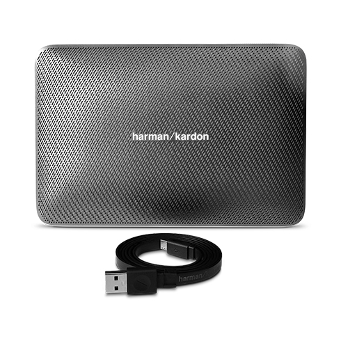 Harman Kardon ESQUIRE 2 Gray reproduktor