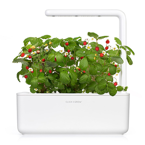 Click And Grow Smart Garden 3, bílý květináč