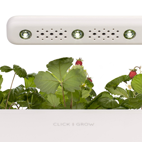 Click And Grow Smart Garden 3, bílý květináč