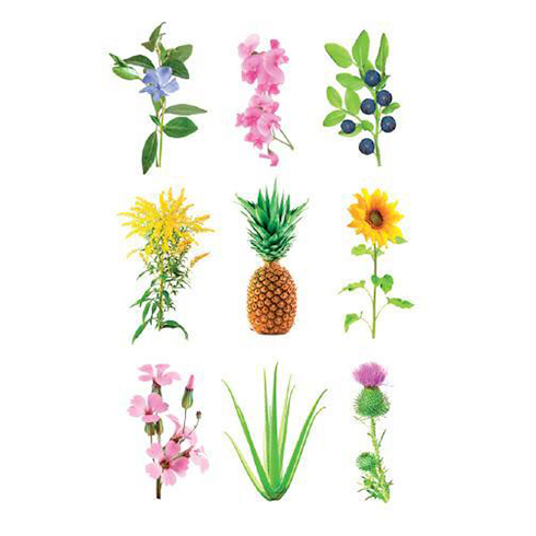 Click and Grow kazeta se substrátem