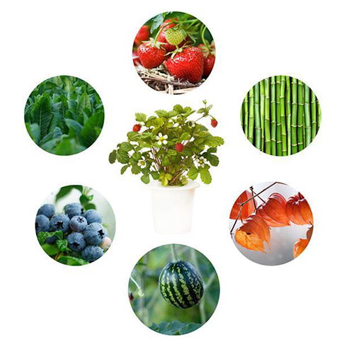 Click and Grow kazeta se substrátem