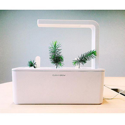 Click and Grow kazeta se substrátem