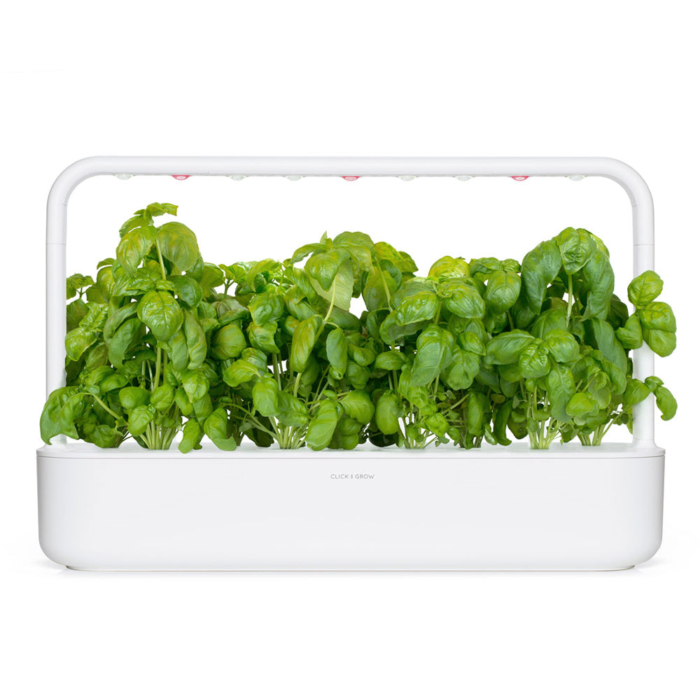 Click And Grow Bazalka