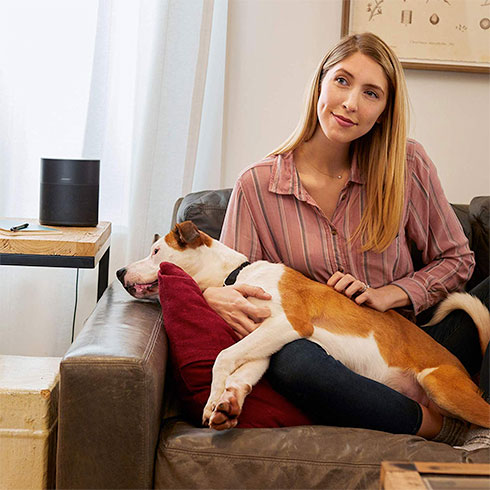 Bose HomeSpeaker 300 Black reproduktor