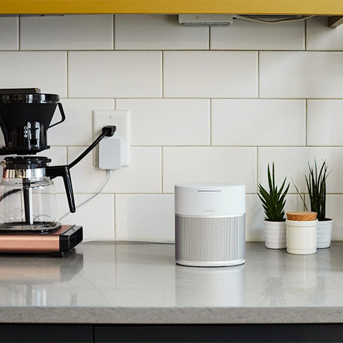 Bose HomeSpeaker 300 Silver reproduktor