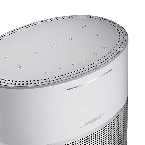 Bose HomeSpeaker 300 Silver reproduktor
