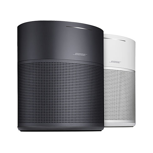 Bose HomeSpeaker 300 Silver reproduktor
