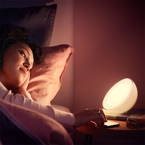 Philips COL Hue Go V2 EU white