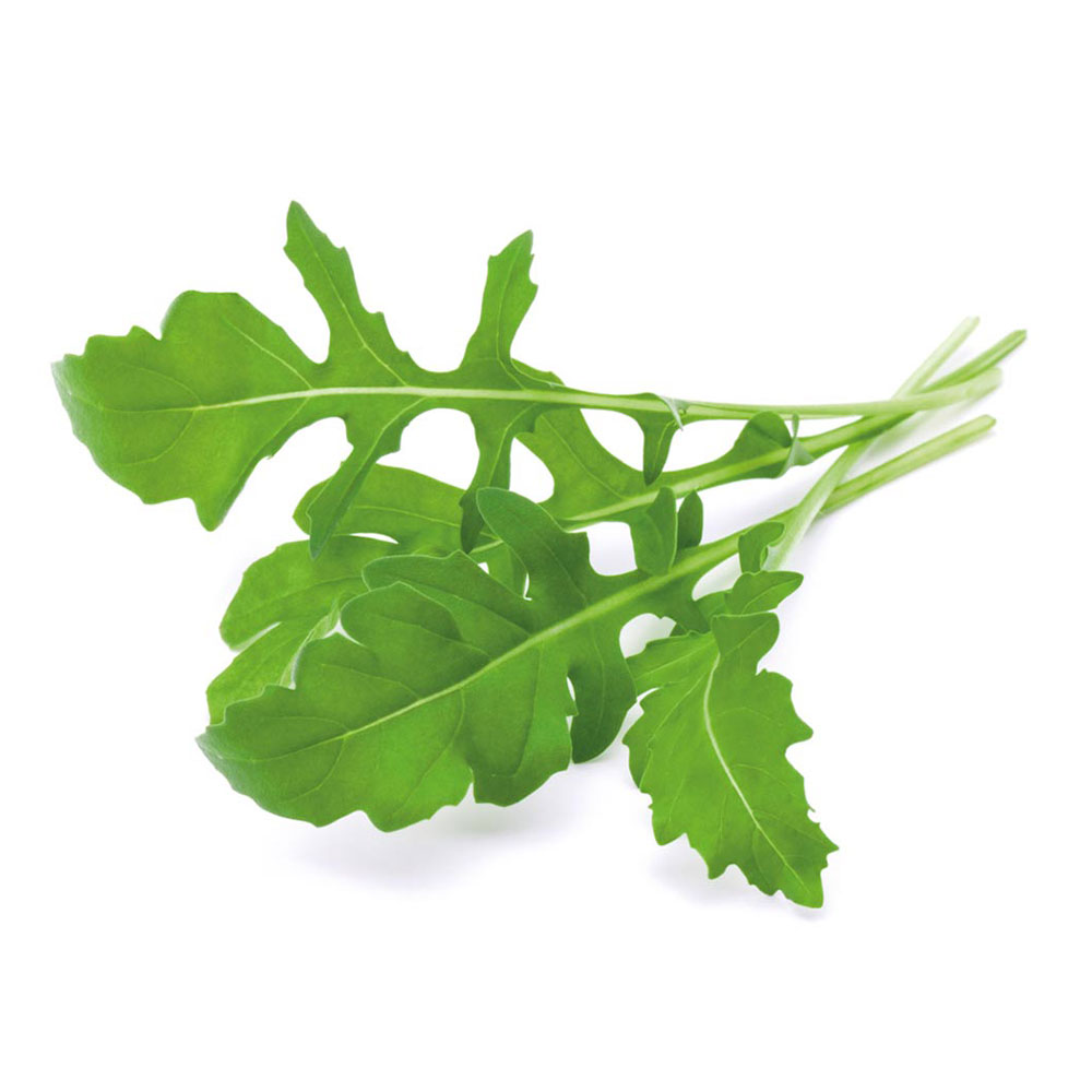 Smart Garden Rukola