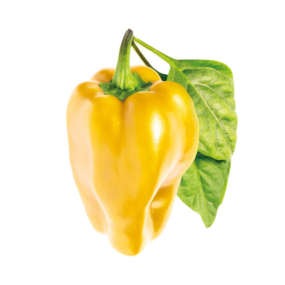 Click and Grow Sladká žlutá paprika