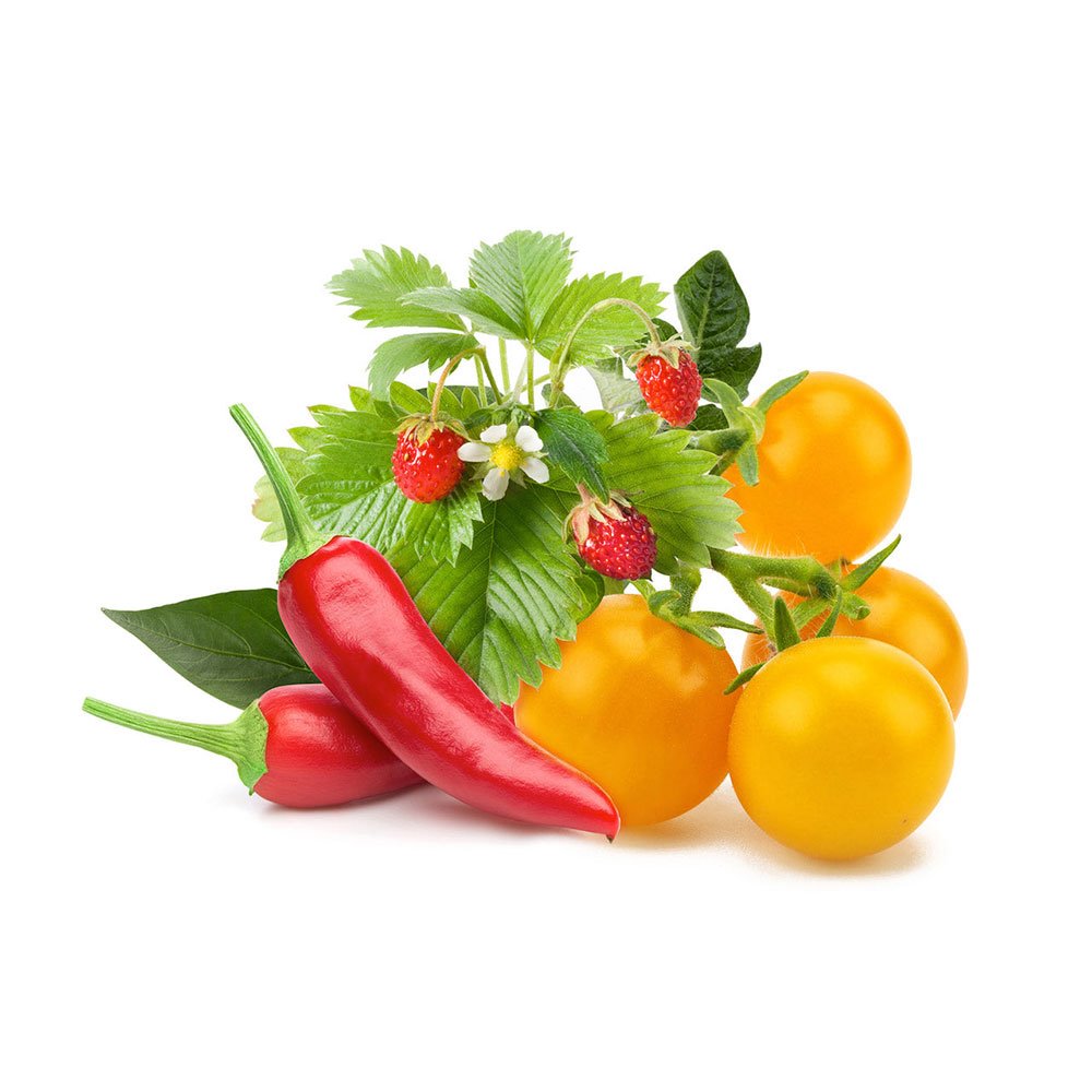 Smart Garden Mix ovocia a zeleniny  3-pack