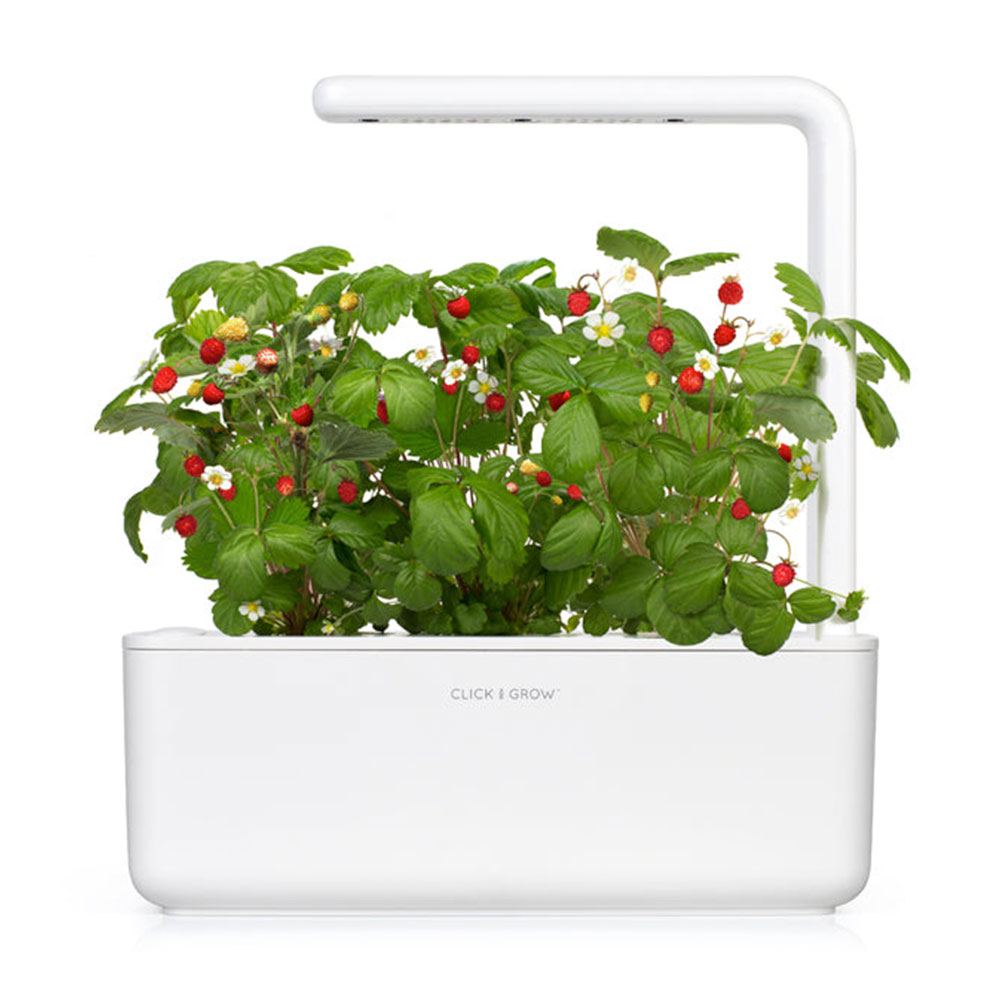 Smart Garden Mix ovocia a zeleniny  3-pack